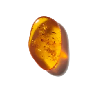 Ambre