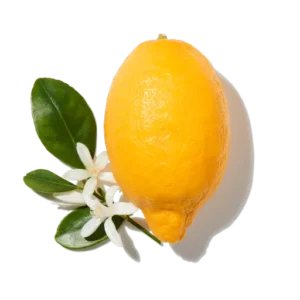 Bergamote