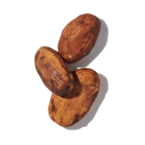 Cacao