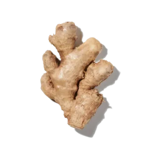 Gingembre