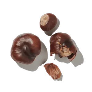 Noisette