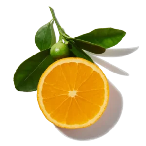 Mandarine