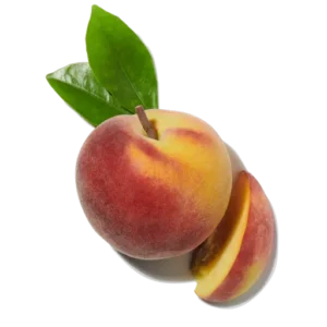 Fleur de nectarine