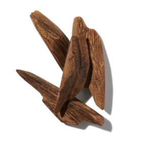 Oud