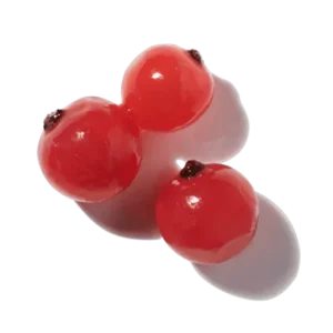 Fruits rouges